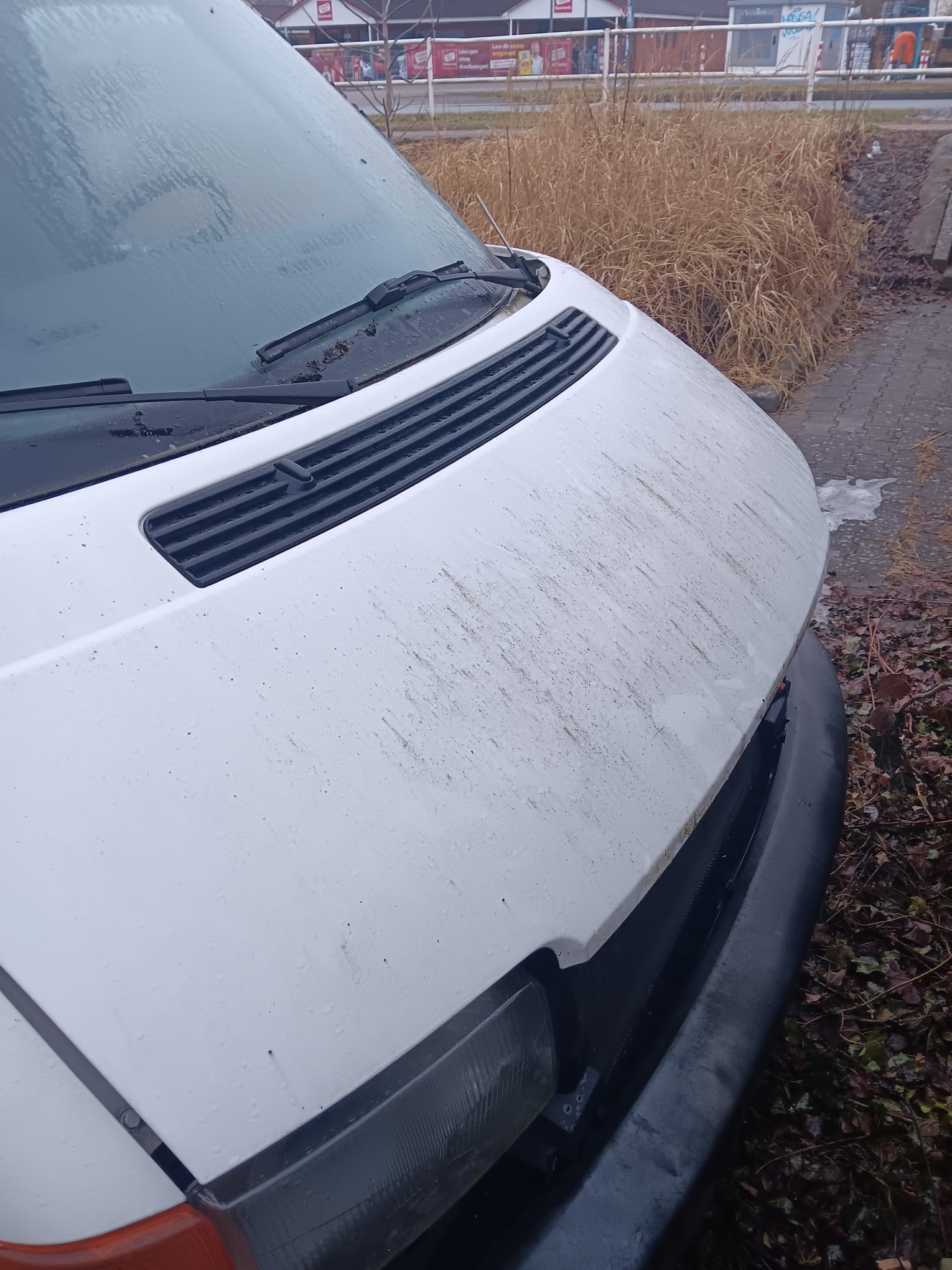 Vw T4 Motorhaube R902 